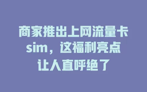 商家推出上网流量卡sim，这福利亮点让人直呼绝了
