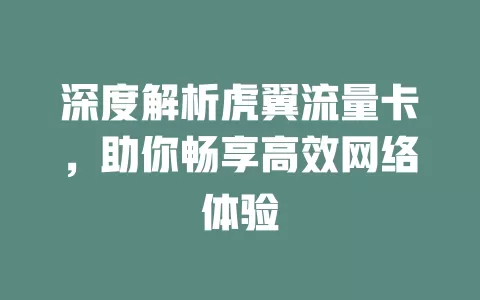 深度解析虎翼流量卡，助你畅享高效网络体验