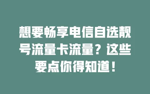 想要畅享电信自选靓号流量卡流量？这些要点你得知道！