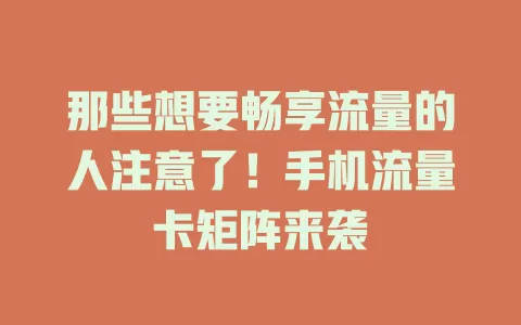 那些想要畅享流量的人注意了！手机流量卡矩阵来袭