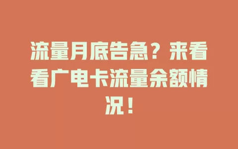 流量月底告急？来看看广电卡流量余额情况！