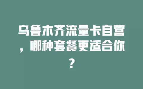 乌鲁木齐流量卡自营，哪种套餐更适合你？