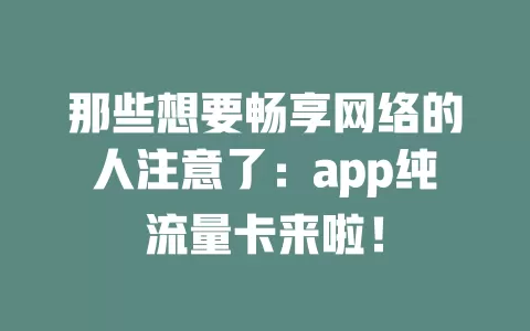 那些想要畅享网络的人注意了：app纯流量卡来啦！
