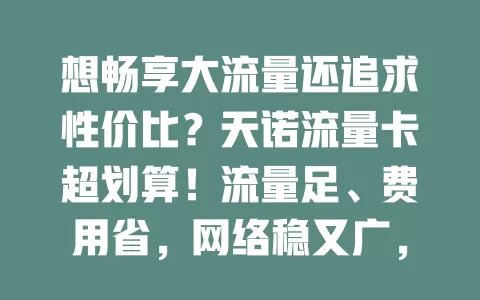 想畅享大流量还追求性价比？天诺流量卡超划算！流量足、费用省，网络稳又广，外出也好用，给你超棒上网体验