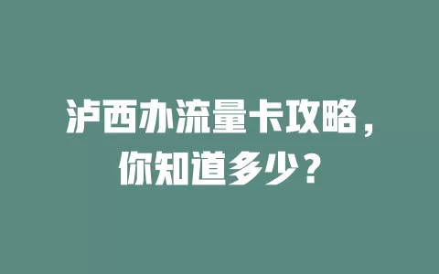 泸西办流量卡攻略，你知道多少？