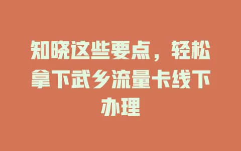 知晓这些要点，轻松拿下武乡流量卡线下办理