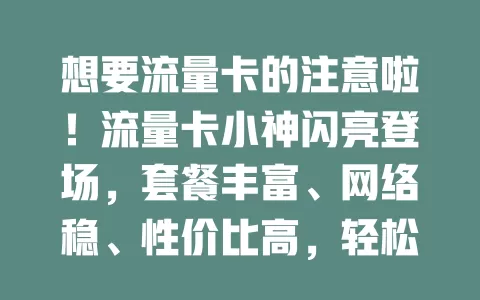 想要流量卡的注意啦！流量卡小神闪亮登场，套餐丰富、网络稳、性价比高，轻松解决流量困扰