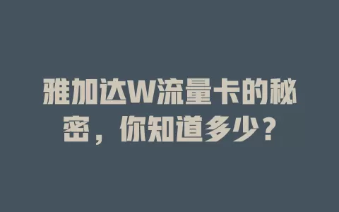 雅加达W流量卡的秘密，你知道多少？