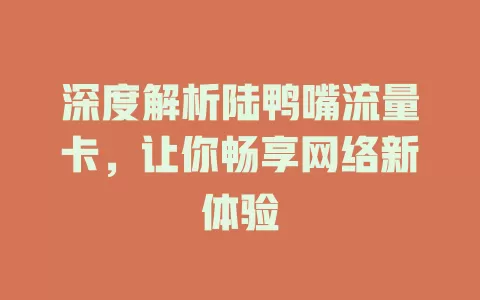 深度解析陆鸭嘴流量卡，让你畅享网络新体验