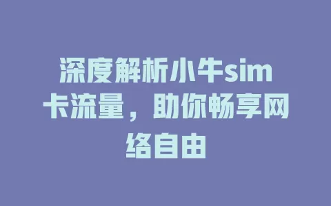 深度解析小牛sim卡流量，助你畅享网络自由