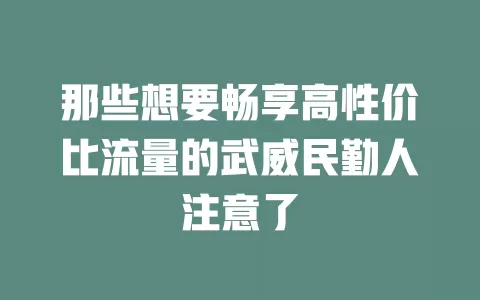 那些想要畅享高性价比流量的武威民勤人注意了