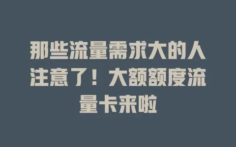 那些流量需求大的人注意了！大额额度流量卡来啦