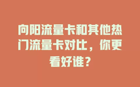 向阳流量卡和其他热门流量卡对比，你更看好谁？