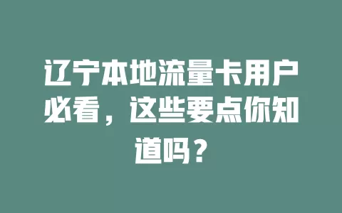 辽宁本地流量卡用户必看，这些要点你知道吗？