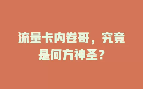 流量卡内卷哥，究竟是何方神圣？