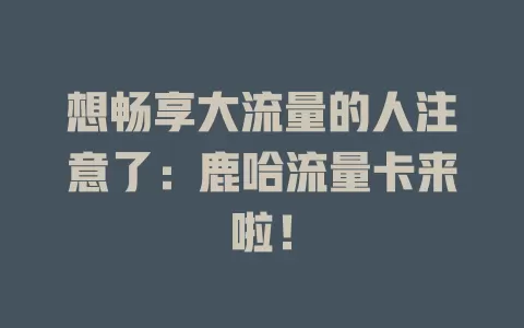 想畅享大流量的人注意了：鹿哈流量卡来啦！