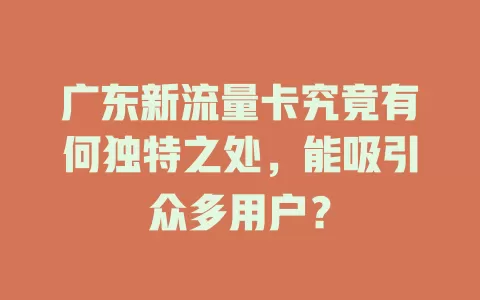 广东新流量卡究竟有何独特之处，能吸引众多用户？