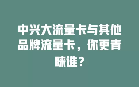 中兴大流量卡与其他品牌流量卡，你更青睐谁？