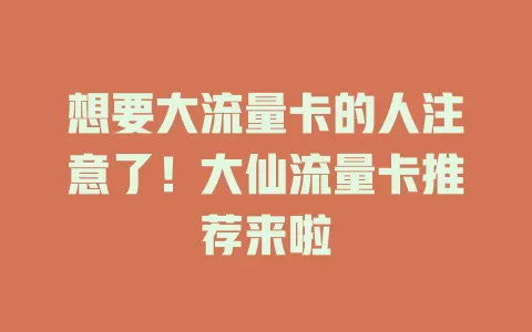 想要大流量卡的人注意了！大仙流量卡推荐来啦