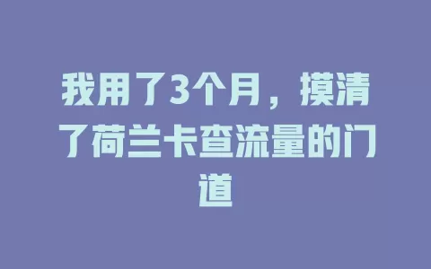 我用了3个月，摸清了荷兰卡查流量的门道