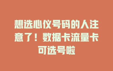 想选心仪号码的人注意了！数据卡流量卡可选号啦