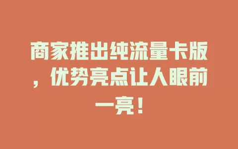商家推出纯流量卡版，优势亮点让人眼前一亮！