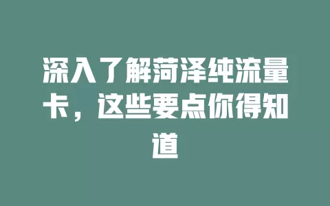 深入了解菏泽纯流量卡，这些要点你得知道