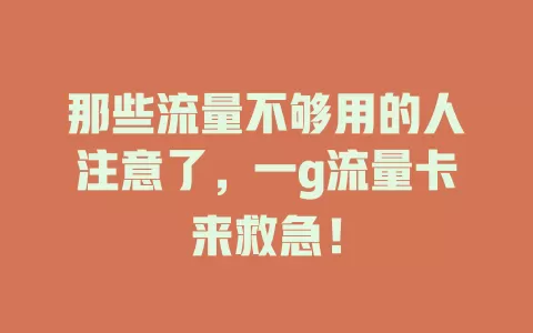 那些流量不够用的人注意了，一g流量卡来救急！