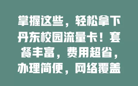 掌握这些，轻松拿下丹东校园流量卡！套餐丰富，费用超省，办理简便，网络覆盖广，客服优质，助你畅享校园网络好时光