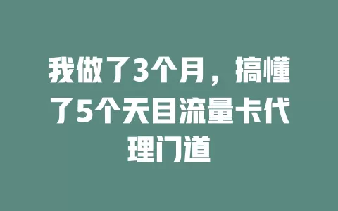 我做了3个月,搞懂了5个天目流量卡代理门道