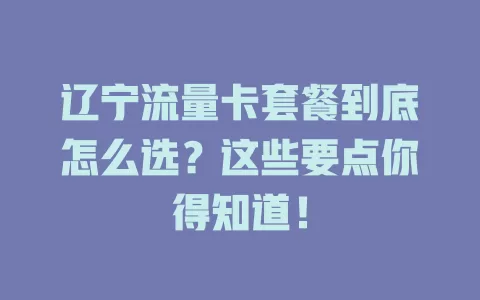 辽宁流量卡套餐到底怎么选？这些要点你得知道！