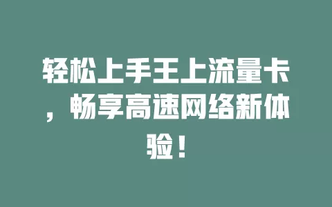 轻松上手王上流量卡，畅享高速网络新体验！