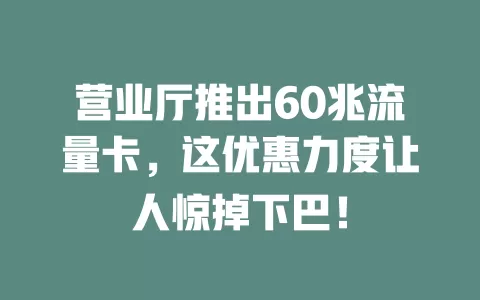 营业厅推出60兆流量卡，这优惠力度让人惊掉下巴！