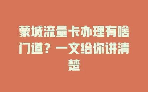 蒙城流量卡办理有啥门道？一文给你讲清楚