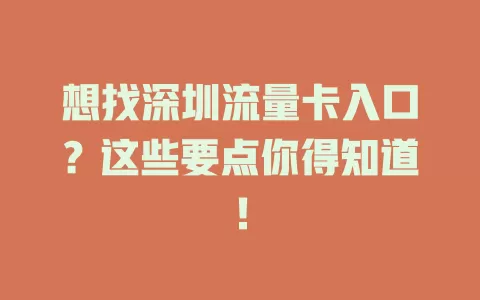 想找深圳流量卡入口？这些要点你得知道！