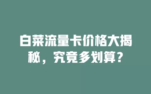 白菜流量卡价格大揭秘，究竟多划算？