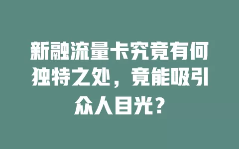 新融流量卡究竟有何独特之处，竟能吸引众人目光？