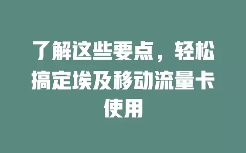 了解这些要点，轻松搞定埃及移动流量卡使用