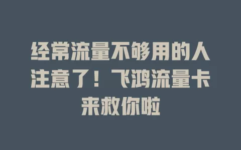 经常流量不够用的人注意了！飞鸿流量卡来救你啦