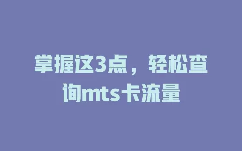 掌握这3点，轻松查询mts卡流量