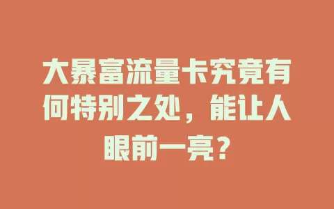 大暴富流量卡究竟有何特别之处，能让人眼前一亮？