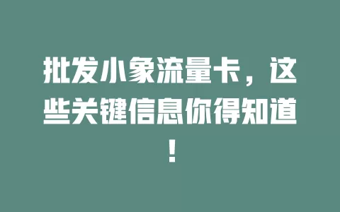 批发小象流量卡，这些关键信息你得知道！