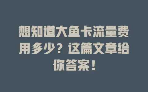 想知道大鱼卡流量费用多少？这篇文章给你答案！
