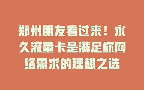 郑州朋友看过来！永久流量卡是满足你网络需求的理想之选