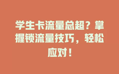 学生卡流量总超？掌握锁流量技巧，轻松应对！