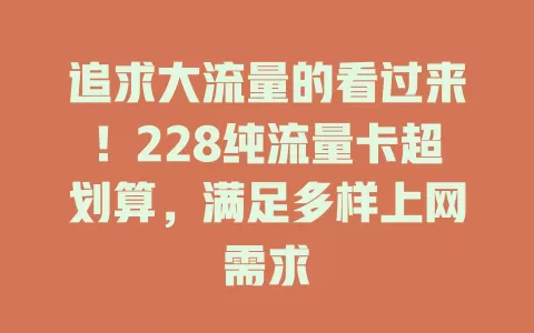 追求大流量的看过来！228纯流量卡超划算，满足多样上网需求