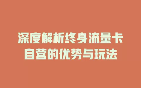 深度解析终身流量卡自营的优势与玩法