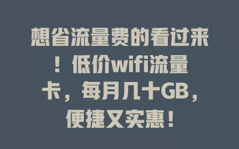 想省流量费的看过来！低价wifi流量卡，每月几十GB，便捷又实惠！