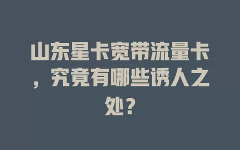 山东星卡宽带流量卡，究竟有哪些诱人之处？