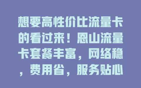 想要高性价比流量卡的看过来！恩山流量卡套餐丰富，网络稳，费用省，服务贴心，满足多样流量需求，你值得拥有！